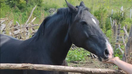 Füttere dich selbst und füttere andere...