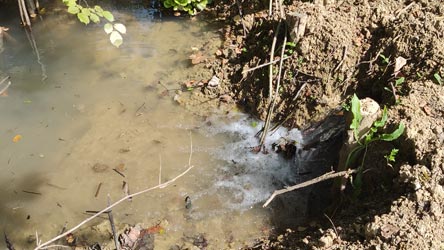 Man hört das Rauschen des Baches Stjepkovica